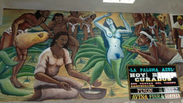 Pulquería La Paloma Azul