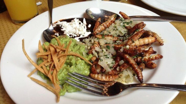 Los Almendros Polanco