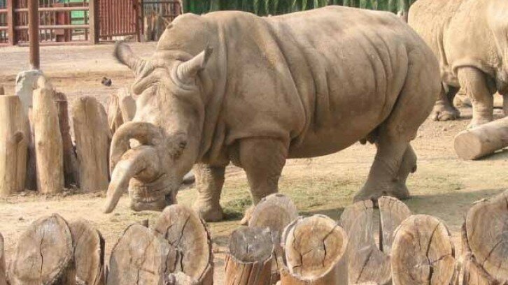 San Juan de Aragón Zoo