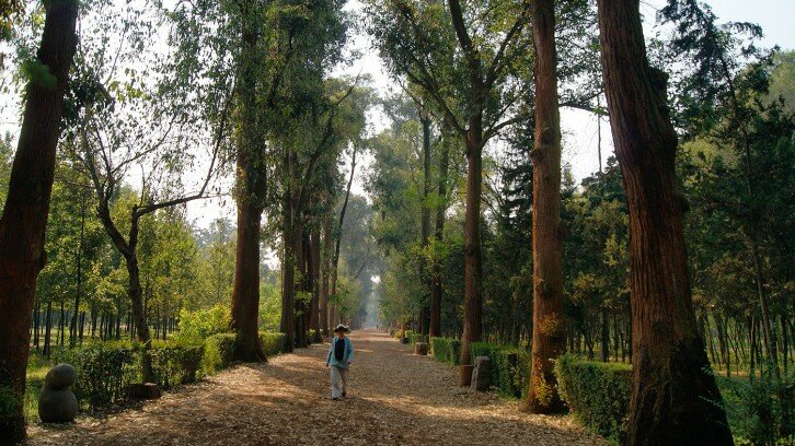 Viveros de Coyoacán National Park