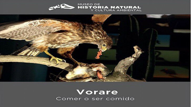 Vorare. Comer o Ser Comido