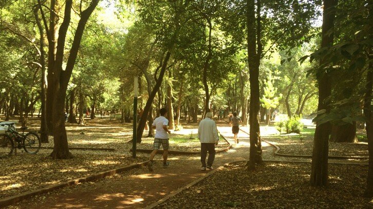 Running matutino en Chapultepec por el circuito Gandhi
