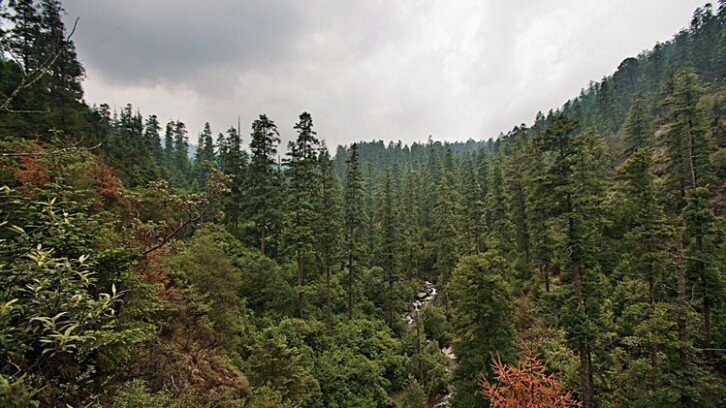 Los Dinamos National Park