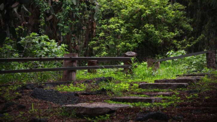 Recorridos al Espacio Ecológico del Museo Anahuacalli
