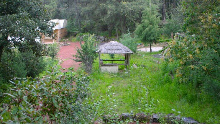 La Palapa