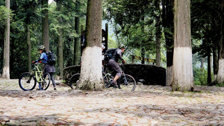 Mountain races in the Desierto de los Leones 