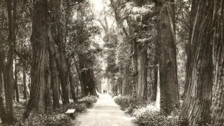 Calzada de los Poetas