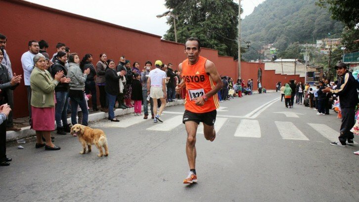 Carrera del Venado