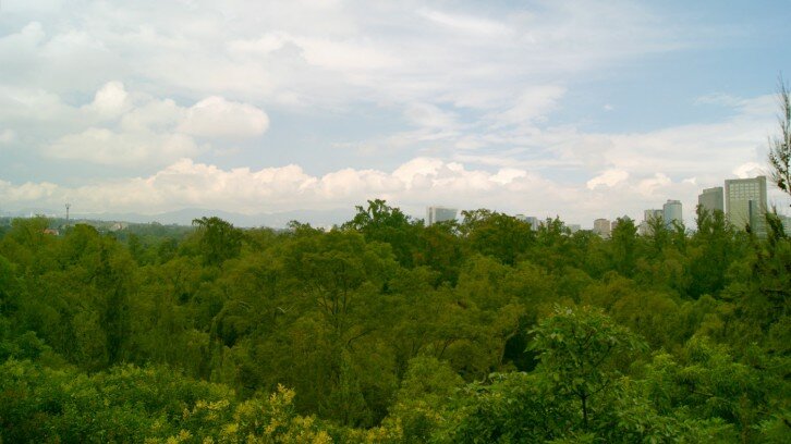 Chapultepec Forest