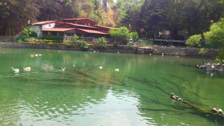 Parque Nacional Fuentes Brotantes de Tlalpan