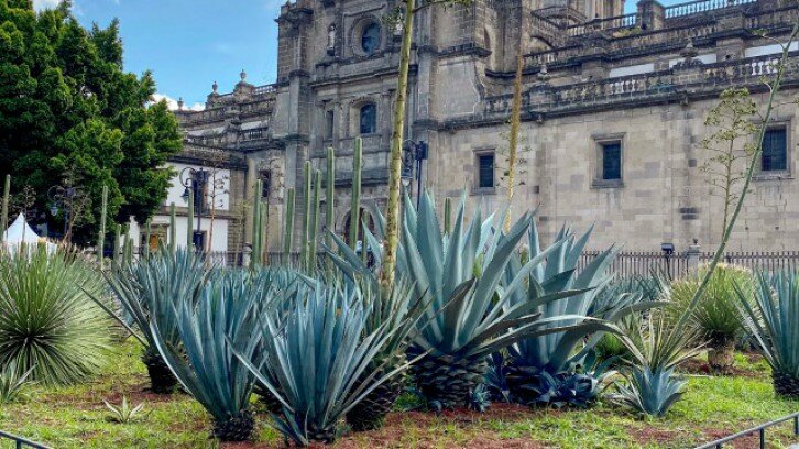 PIRAMIDES Y CUIDADES DE MÉXICO CENTRAL