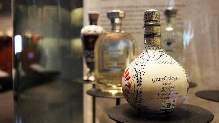 Degustando el agave