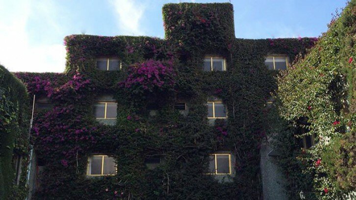 Hotel Jardines de Churubusco