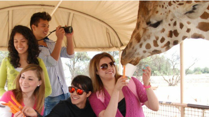 A Day of Adventure in Reino Animal (Animal Kingdom)