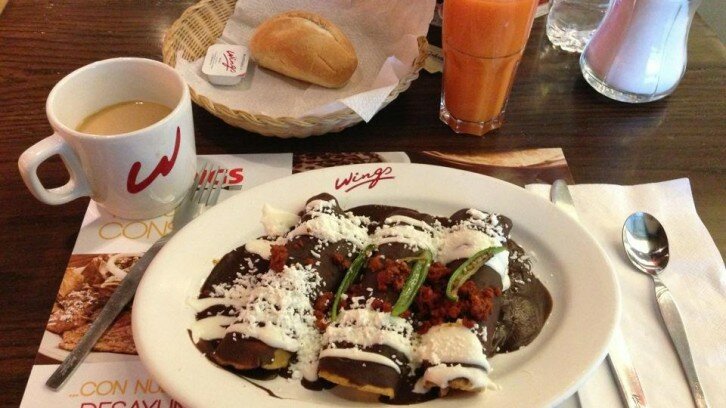 Wings Homero